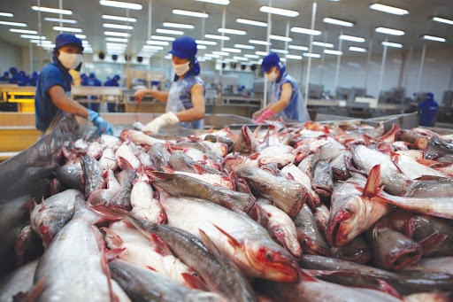 Hạn chế phòng vệ thương mại: Đa dạng hóa sản phẩm và thị trường xuất khẩu
