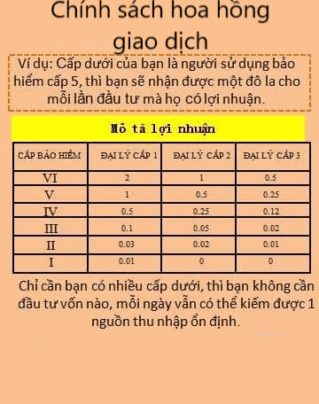 Hàng trăm NĐT đệ đơn tố cáo sàn Coolcat: Dùng chiêu lùa gà mời đầu tư nhận lãi chục triệu đồng/ngày, hoa hồng 40 triệu đồng khi mời bạn bè nhưng đột nhiên sập hệ thống - Ảnh 3.