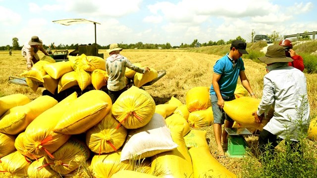 Hậu Giang: Khởi tố thêm 2 'cò lúa' lừa đảo chiếm đoạt tài sản