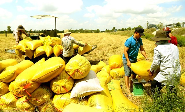 hau-giang-khoi-to-th234m-2-39c242-l250a39-lua-dao-chiem-doat-t224i-san_1.jpg hau-giang-khoi-to-th234m-2-39c242-l250a39-lua-dao-chiem-doat-t224i-san_1.jpg