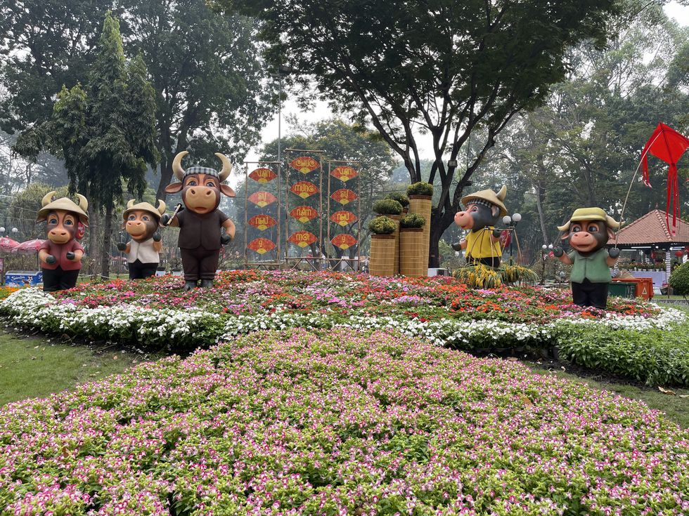 Hội hoa xuân chưa khai mạc, người Sài Gòn xúng xính áo dài đến chụp ảnh Tết - ảnh 4
