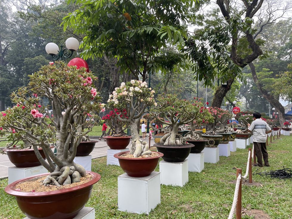 Hội hoa xuân chưa khai mạc, người Sài Gòn xúng xính áo dài đến chụp ảnh Tết - ảnh 8