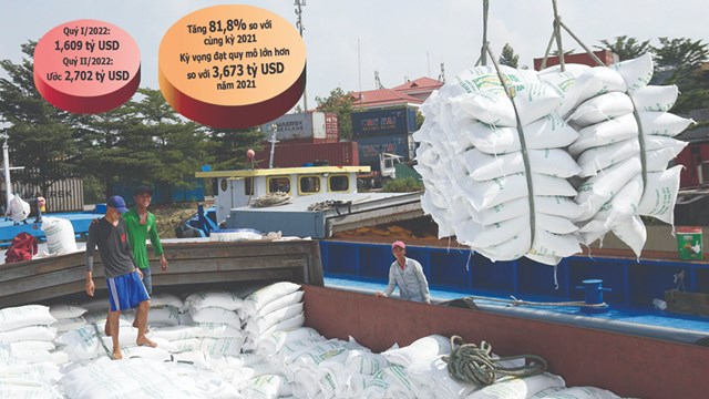 Hồi sinh xuất khẩu dịch vụ