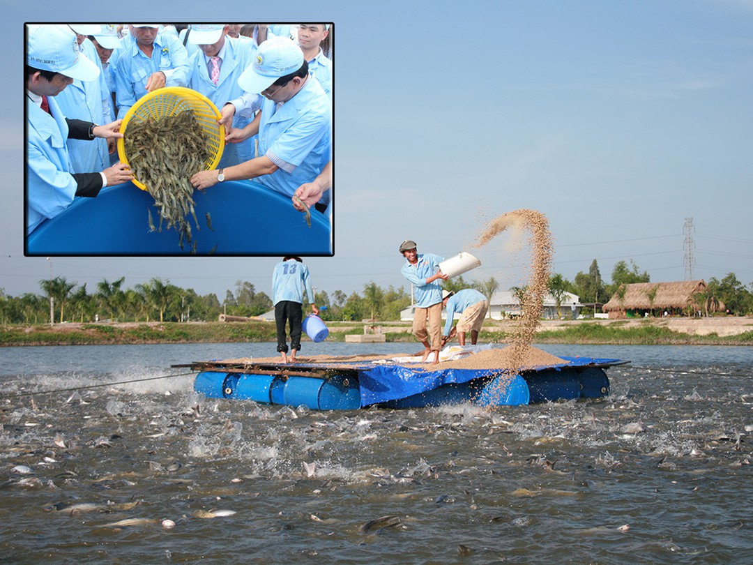 “Hồi sức” cho ĐBSCL