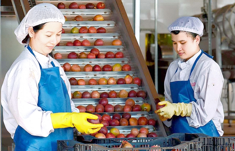 Hợp tác thương mại Việt Nam - Canada: Nhiều dư địa phát triển