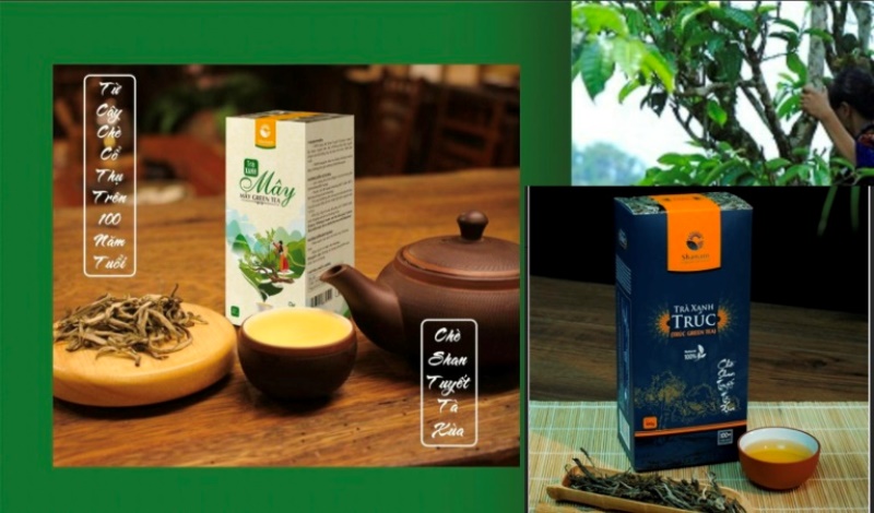 Trà Xanh Mây; Trà Xanh Thiện: Công ty TNHH Trà và đặc sản Tây Bắc (4 sao) Trà Xanh Mây; Trà Xanh Thiện: Công ty TNHH Trà và đặc sản Tây Bắc (4 sao)