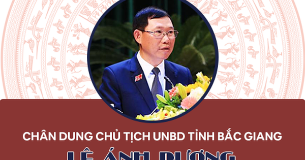 Infographics: Chân dung Chủ tịch UBND tỉnh Bắc Giang Lê Ánh Dương