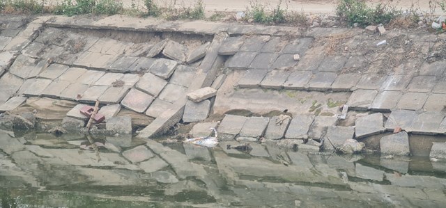 k234nh-tuoi-ti234u-sat-lo-cho-sua-chua_1.jpg k234nh-tuoi-ti234u-sat-lo-cho-sua-chua_1.jpg