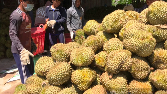 Khánh Hòa: Tìm hướng tiêu thụ nông sản tại địa phương