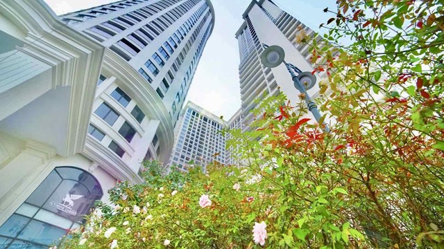 Không gian 'nhà Sunshine' bừng sức sống giữa mùa thu tuyệt đẹp