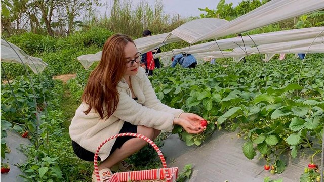 Khai phá tiềm năng 'mỏ vàng' du lịch