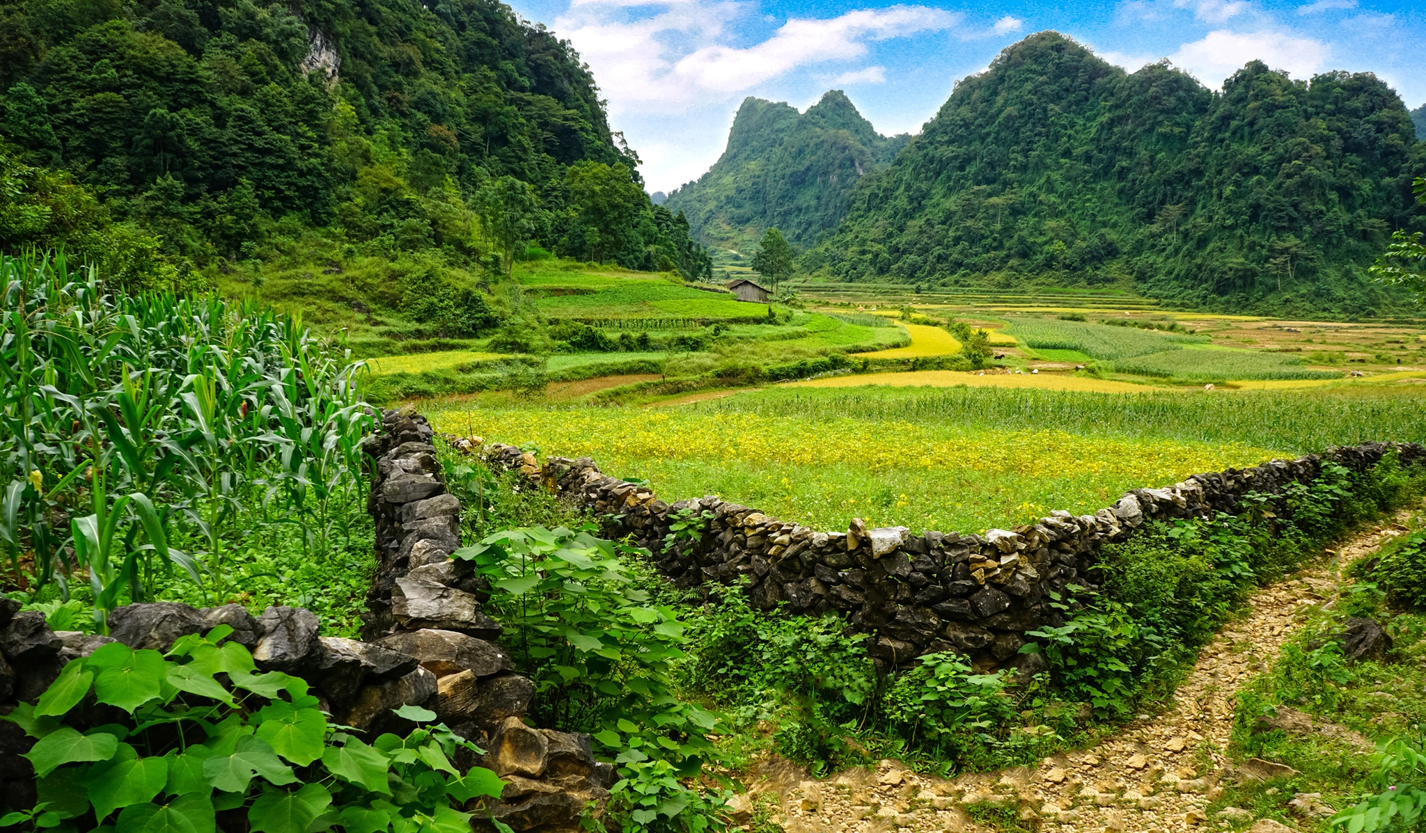 Khám phá Cao Bằng: Ngất ngây núi Thủng 'độc nhất vô nhị' - ảnh 1