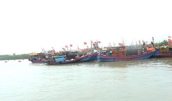 Khẩn trương kêu gọi tàu thuyền vào nơi tránh trú bão số 5