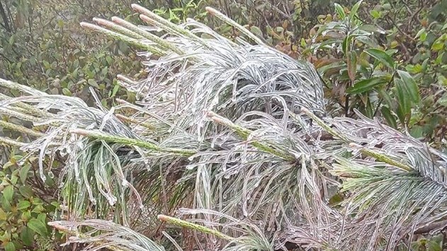 Khẩn trương ứng phó thời tiết nguy hiểm, rét hại, mưa lớn kèm lốc