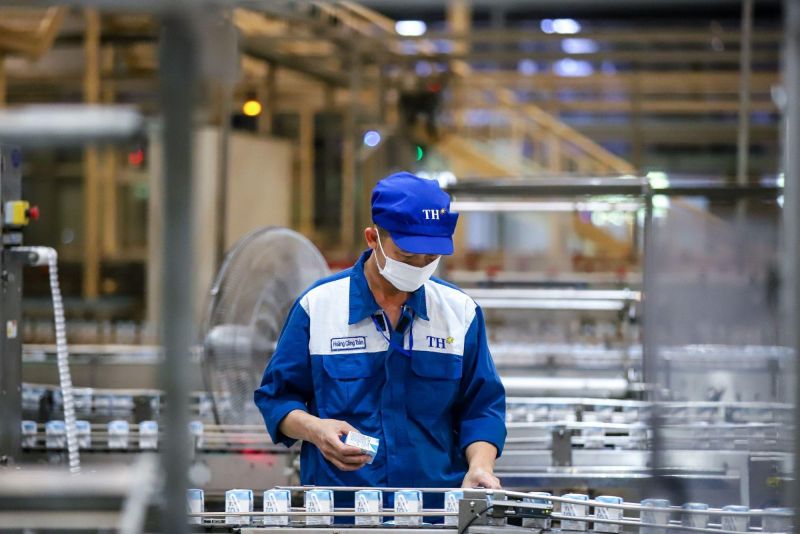 Dự án TH true MILK mà công ty THMF là chủ lực triển khai đã khởi xướng cuộc cách mạng sữa tươi sạch ở Việt Nam. Dự án TH true MILK mà công ty THMF là chủ lực triển khai đã khởi xướng cuộc cách mạng sữa tươi sạch ở Việt Nam.