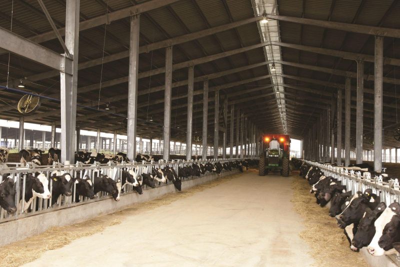 THMF hiện sở hữu Cụm trang trại tập trung ứng dụng công nghệ cao với quy trình sản xuất khép kín quy mô lớn nhất thế giới - kỷ lục thế giới do World Records Union chứng nhận năm 2020. THMF hiện sở hữu Cụm trang trại tập trung ứng dụng công nghệ cao với quy trình sản xuất khép kín quy mô lớn nhất thế giới - kỷ lục thế giới do World Records Union chứng nhận năm 2020.