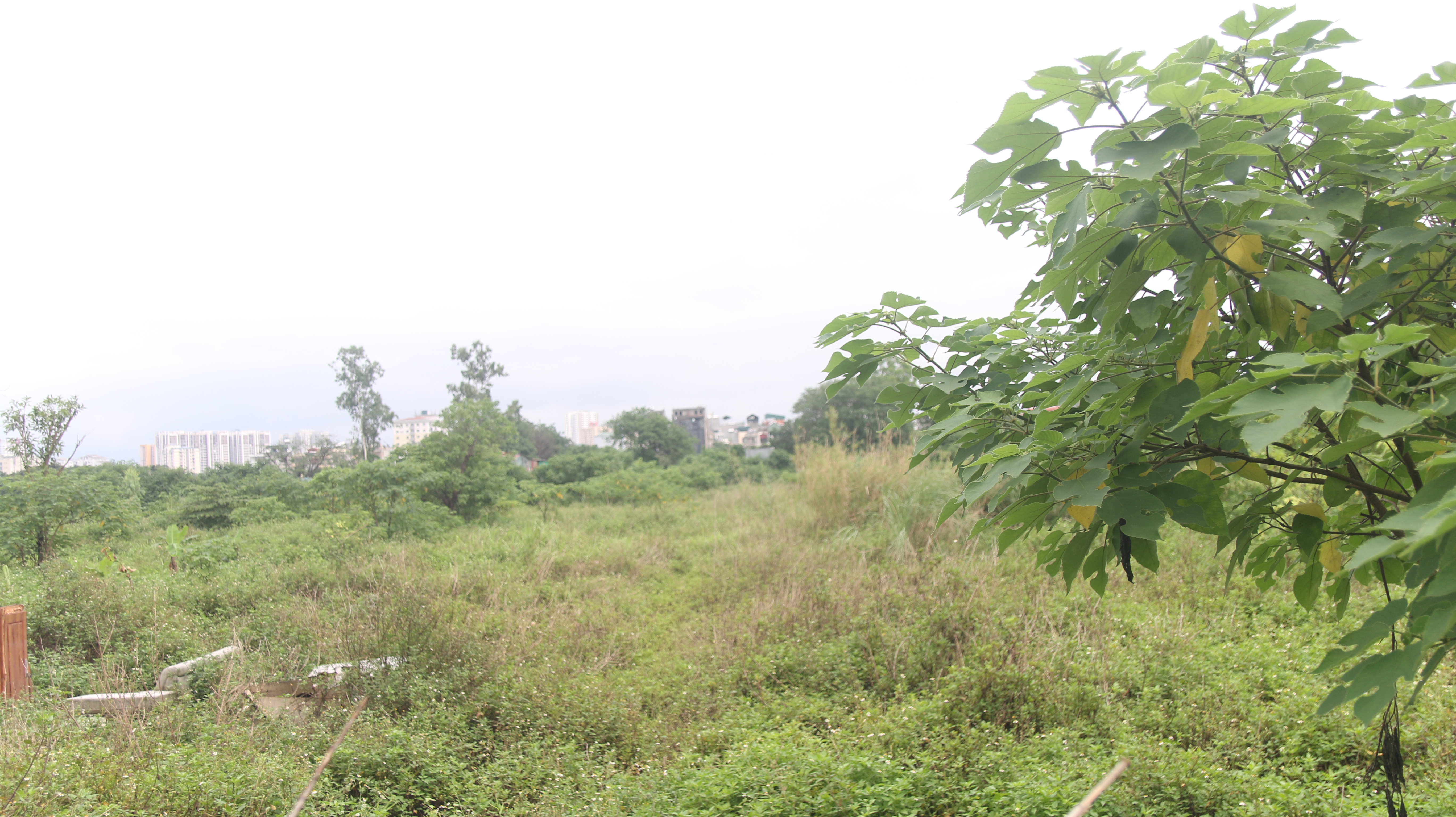 khung-canh-nhech-nh225c-cua-du-225n-benh-vien-207-ty-dong-nam-im-tr234n-giay_9.jpg khung-canh-nhech-nh225c-cua-du-225n-benh-vien-207-ty-dong-nam-im-tr234n-giay_9.jpg
