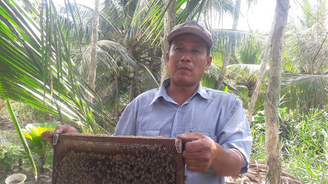 Kiếm tiền triệu mỗi tuần từ nuôi ong thiên nhiên lấy mật