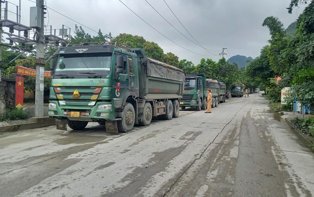 kim-bang-h224-nam-xu-phat-nhieu-xe-tai-cho-d225-roi-v227i-g226y-244-nhiem-m244i-truong_1.jpg kim-bang-h224-nam-xu-phat-nhieu-xe-tai-cho-d225-roi-v227i-g226y-244-nhiem-m244i-truong_1.jpg
