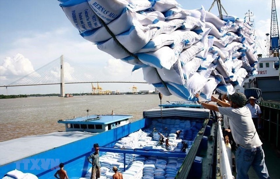 Từ ngày 16.8.2021, Bến 125 – Cảng Cát Lái hoạt động trở lại với công suất khoảng 70 container/ngày, quá thấp so với nhu cầu xuất khẩu gạo. Ảnh minh họa: TTXVN