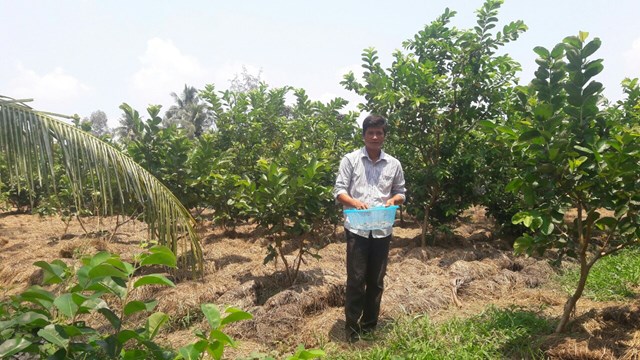 l224m-gi224u-tu-nghe-trong-nam-rom_1.jpg l224m-gi224u-tu-nghe-trong-nam-rom_1.jpg