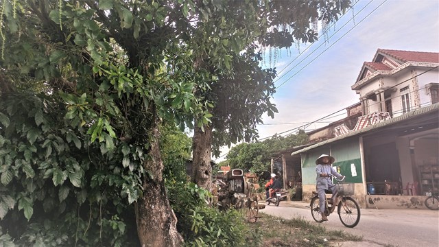 Lạ lẫm… làng Mưng