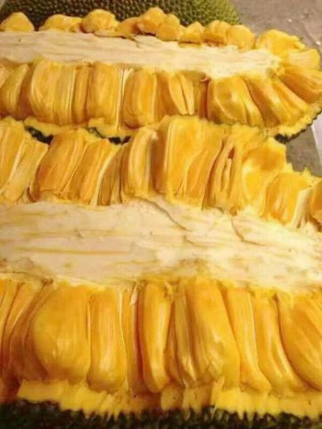 Lạ lùng những thứ chỉ có ở Việt Nam: Dừa ăn vỏ bỏ nước, mít dài cả mét, thanh long thơm mùi nhãn,... - Ảnh 3. Lạ lùng những thứ chỉ có ở Việt Nam: Dừa ăn vỏ bỏ nước, mít dài cả mét, thanh long thơm mùi nhãn,... - Ảnh 3.