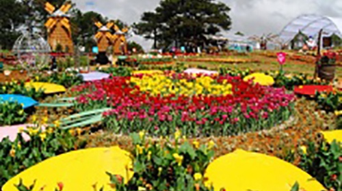 Lâm Đồng công bố sự kiện Festival hoa Đà Lạt năm 2022 