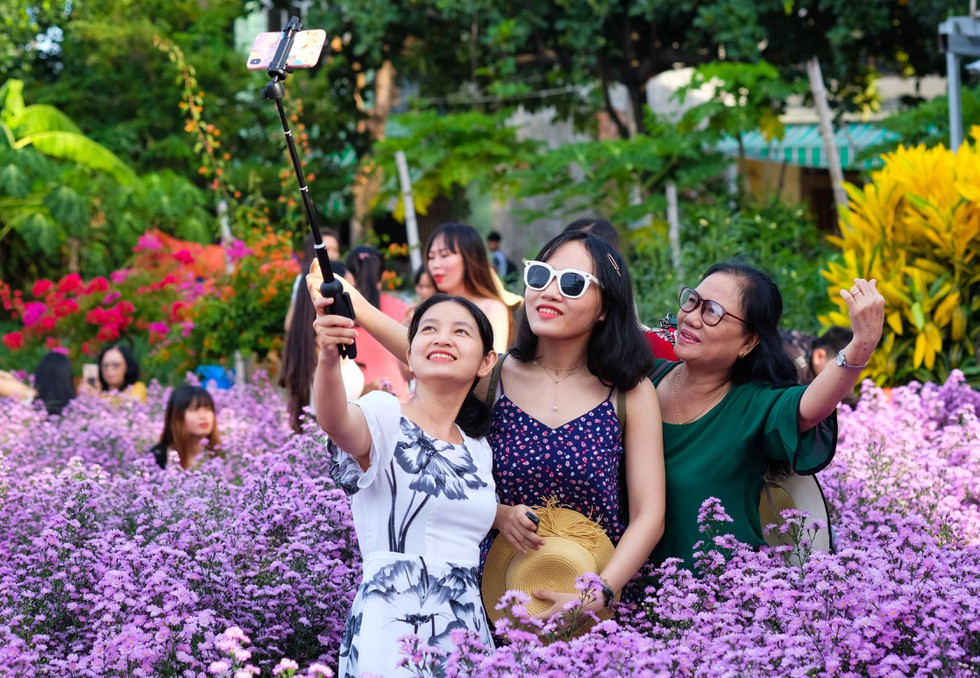 Lần đầu tiên Đà Nẵng có vườn hoa thạch thảo, người người nô nức check-in - ảnh 7