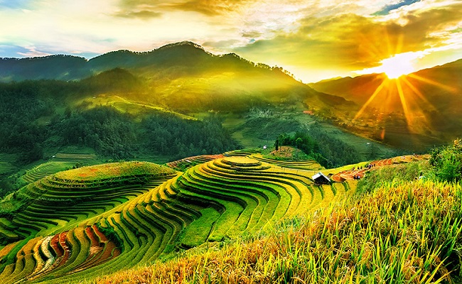 Ảnh minh họa, nguồn internet Ảnh minh họa, nguồn internet