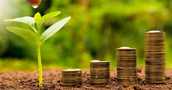 Lịch chốt quyền nhận cổ tức bằng tiền của 14 doanh nghiệp