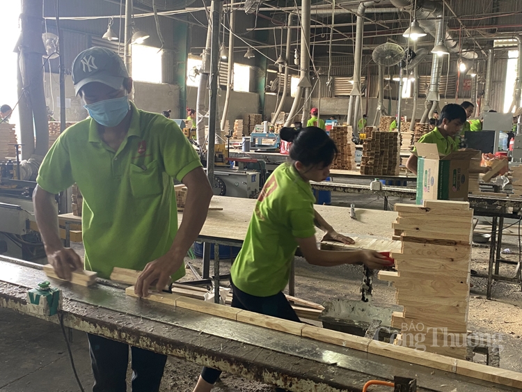 Lo ngại tình trạng đầu tư 
