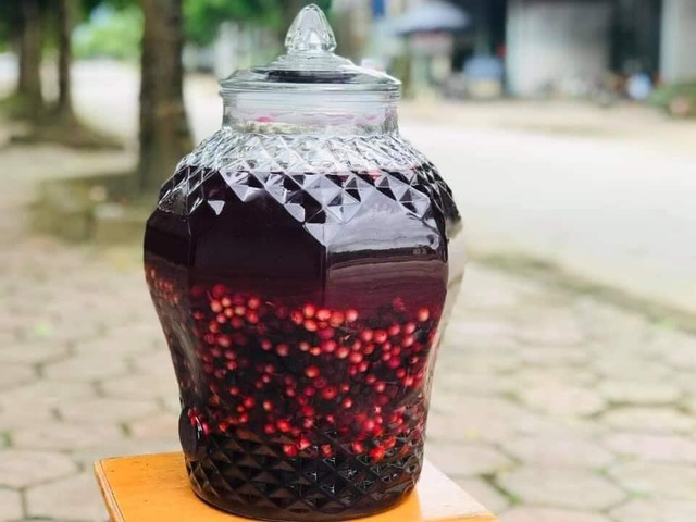 Loại nho mọc hoang ở bìa rừng Tây Bắc, ăn thì chua loét, giá chẳng kém cạnh nho nhập ngoại mà vẫn hút khách Hà thành - Ảnh 7. Loại nho mọc hoang ở bìa rừng Tây Bắc, ăn thì chua loét, giá chẳng kém cạnh nho nhập ngoại mà vẫn hút khách Hà thành - Ảnh 7.