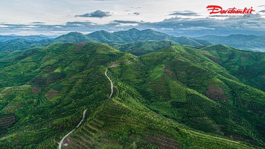 luc-ngan-bac-giang-nguoi-d226n-soi-d232n-thu-hoach-vai-tu-d234m-den-s225ng_1.jpg luc-ngan-bac-giang-nguoi-d226n-soi-d232n-thu-hoach-vai-tu-d234m-den-s225ng_1.jpg