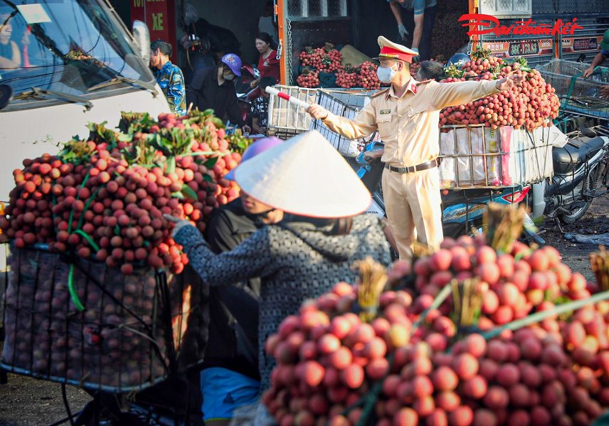 luc-ngan-bac-giang-nguoi-d226n-soi-d232n-thu-hoach-vai-tu-d234m-den-s225ng_13.jpg luc-ngan-bac-giang-nguoi-d226n-soi-d232n-thu-hoach-vai-tu-d234m-den-s225ng_13.jpg