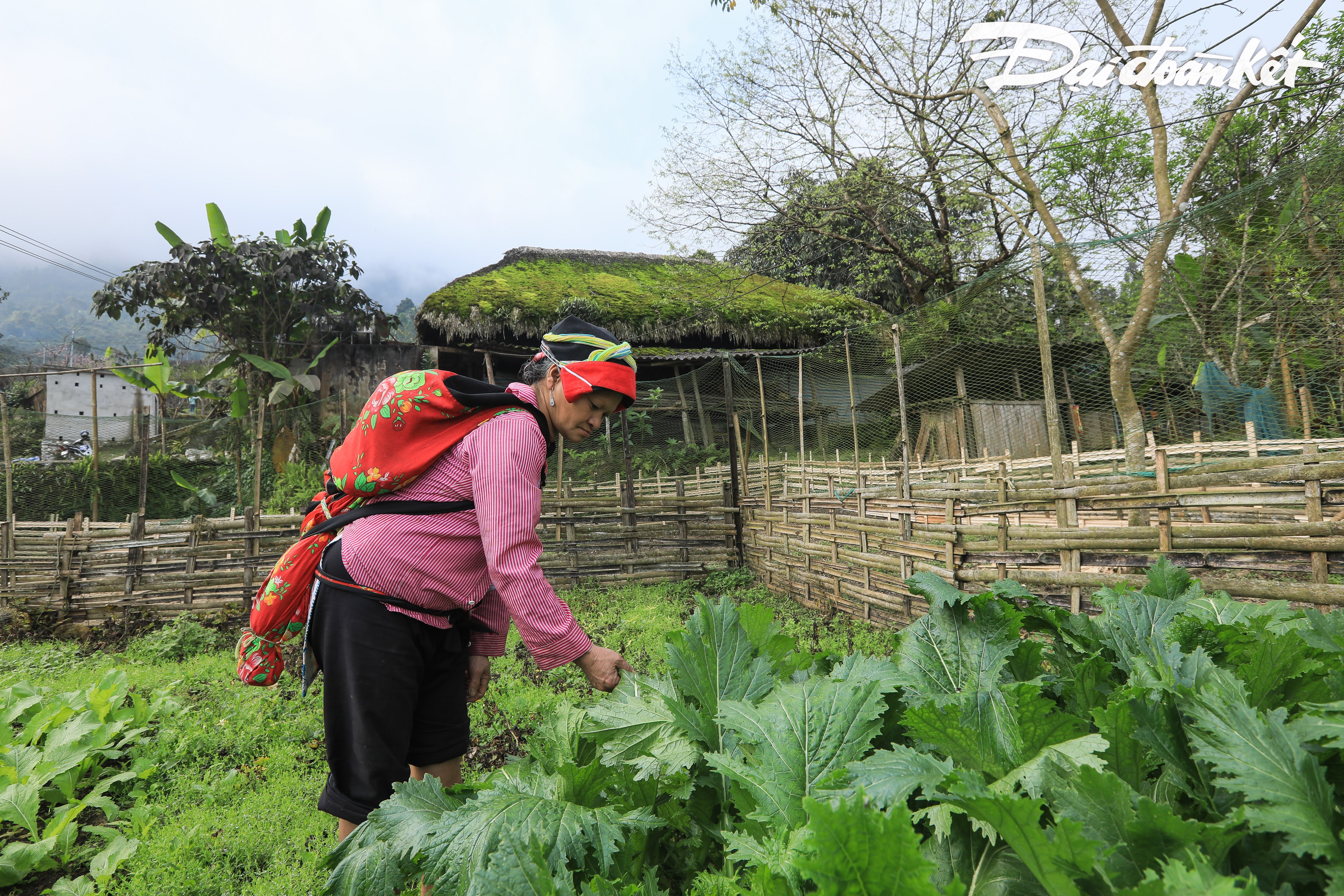 m234-man-nhung-nep-nh224-co-cua-nguoi-dao-o-th244n-x224-ph236n_13.jpg