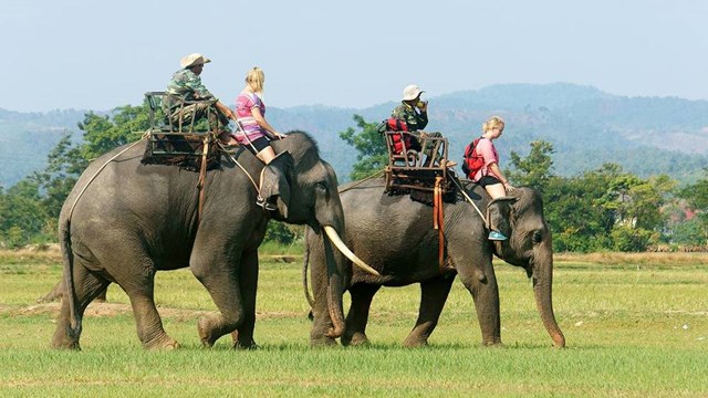 Mô hình du lịch sinh thái thân thiện với voi
