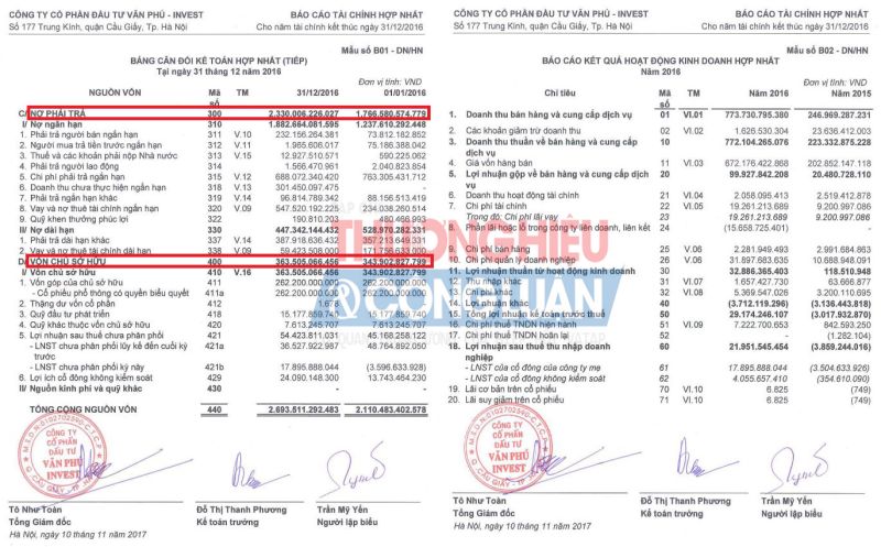 Báo cáo tài chính hợp nhất 2016 (Nguồn: VPI)