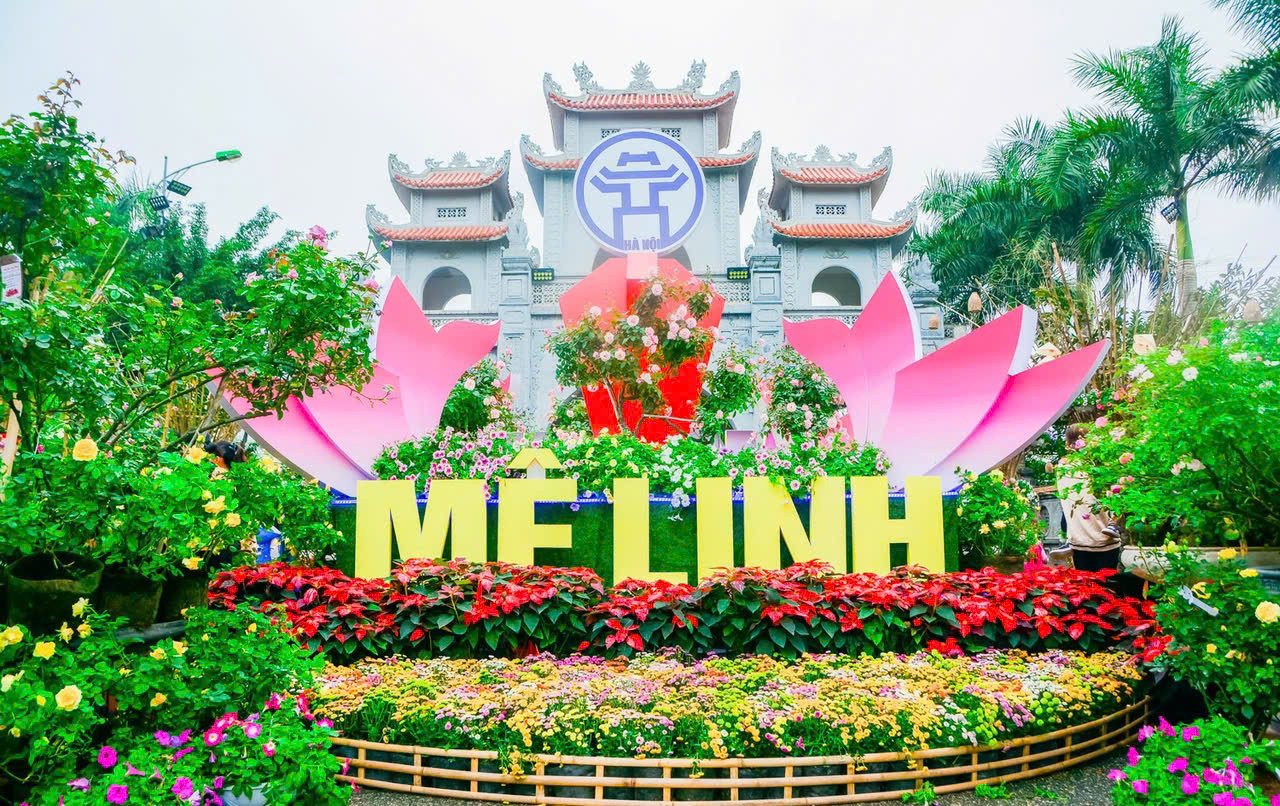 Festival hoa Mê Linh lần thứ hai: Quảng bá du lịch, hướng tới xây dựng thương hiệu