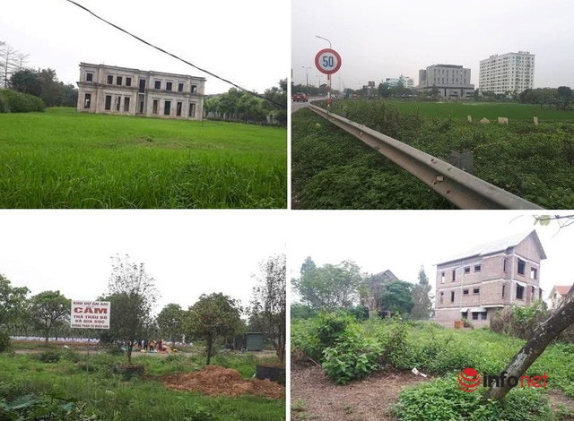 Mê Linh: Những dự án được vẽ mĩ miều thành nơi hoang vu, ‘ngủ quên’ cả thập kỷ cần người ‘đánh thức’ - Ảnh 1. Mê Linh: Những dự án được vẽ mĩ miều thành nơi hoang vu, ‘ngủ quên’ cả thập kỷ cần người ‘đánh thức’ - Ảnh 1.