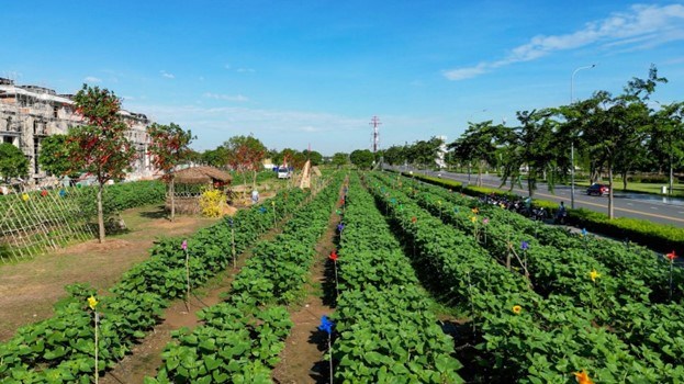 mo-cua-vuon-hoa-huong-duong-dam-chat-phuong-nam-tai-van-phuc-city_1.jpg