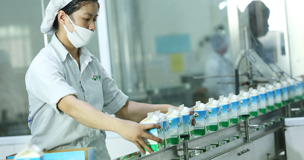 Mộc Châu Milk chào sàn Upcom với giá tham chiếu 30.000 đồng/cp 