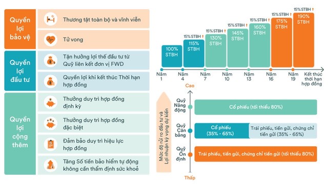 Một công đôi việc cùng “FWD Bộ đôi tài sản” - Ảnh 1.