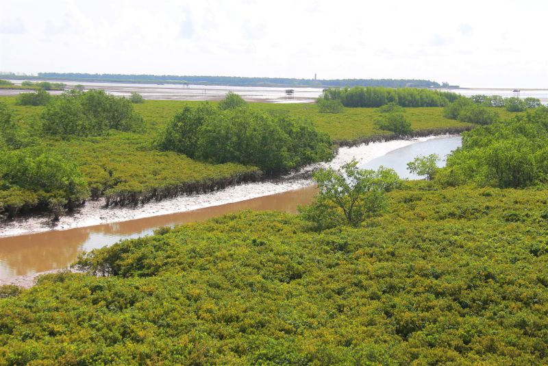 Sau gia nhập công ước Ramsar, vùng đất ngập nước Xuân Thủy trở thành là điểm Ramsar thứ 50 của thế giới, đặc biệt là điểm Ramsar đầu tiên của Đông Nam Á và độc nhất của Việt Nam suốt 16 năm (tới năm 2005, Việt Nam có khu Ramsar thứ 2 là khu Bàu Sấu thuộc Vườn quốc Cát Tiên ở tỉnh Đồng Nai).