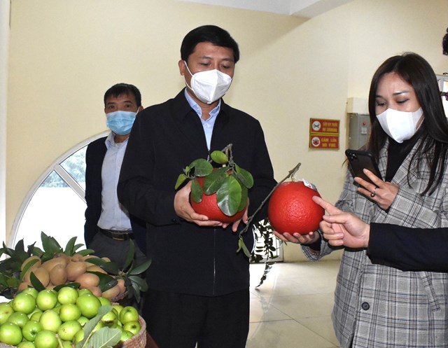 n244ng-san-v224-hoa-cua-m234-linh-san-s224ng-v224o-he-thong-winmart_2.jpg n244ng-san-v224-hoa-cua-m234-linh-san-s224ng-v224o-he-thong-winmart_2.jpg