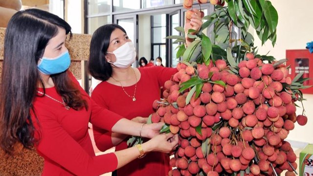 Nông sản xuất khẩu: Nâng chất để thâm nhập các thị trường