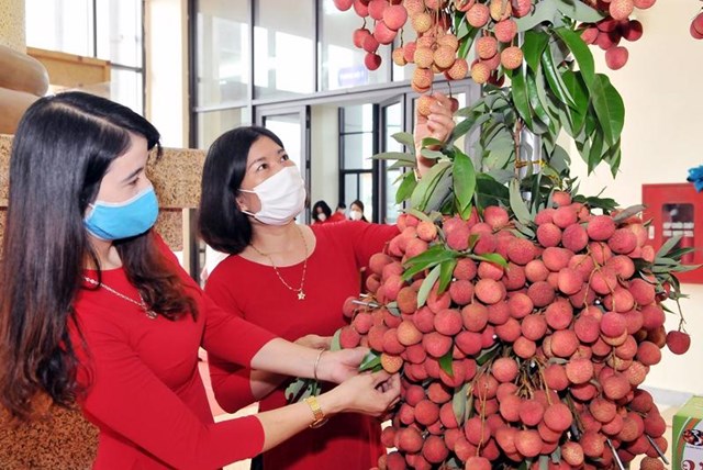 n244ng-san-xuat-khau-n226ng-chat-de-th226m-nhap-c225c-thi-truong_1.jpg