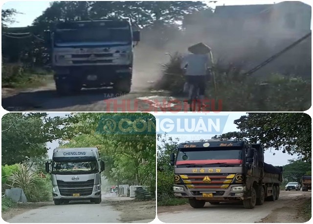 Ảnh minh hoạ Ảnh minh hoạ