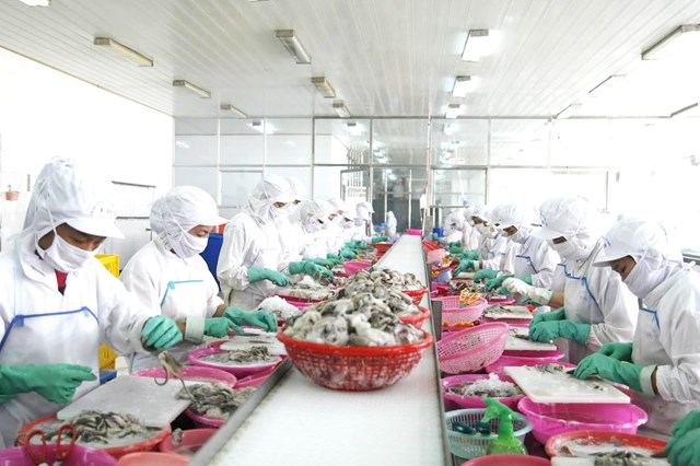 nam-2023-xuat-khau-tiep-tuc-toa-s225ng_1.jpg nam-2023-xuat-khau-tiep-tuc-toa-s225ng_1.jpg