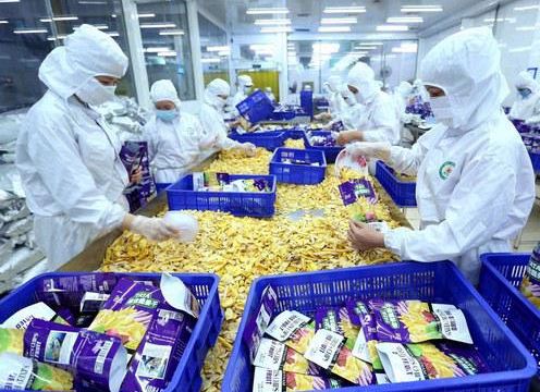 Năm 2030, Việt Nam phấn đấu thành trung tâm chế biến nông sản top 10 thế giới